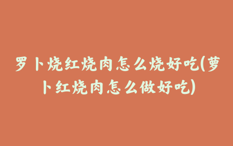 罗卜烧红烧肉怎么烧好吃(萝卜红烧肉怎么做好吃)